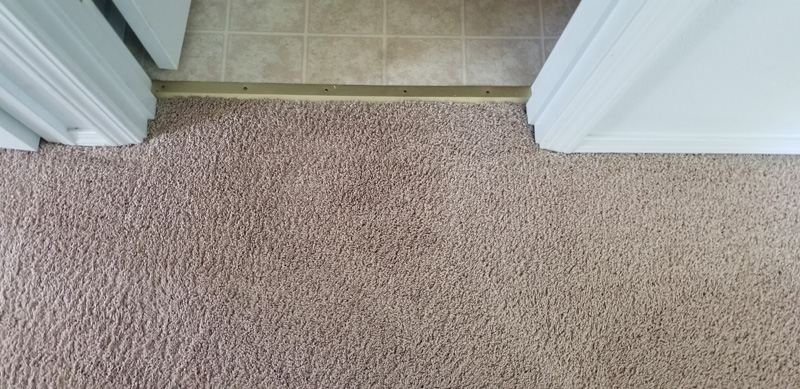 professional carpet cleaning tan carpet