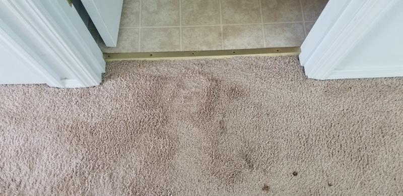 carpet spot removal hillsboro oregon