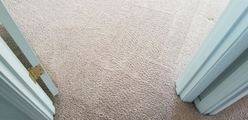 bedroom carpet spot treatment after